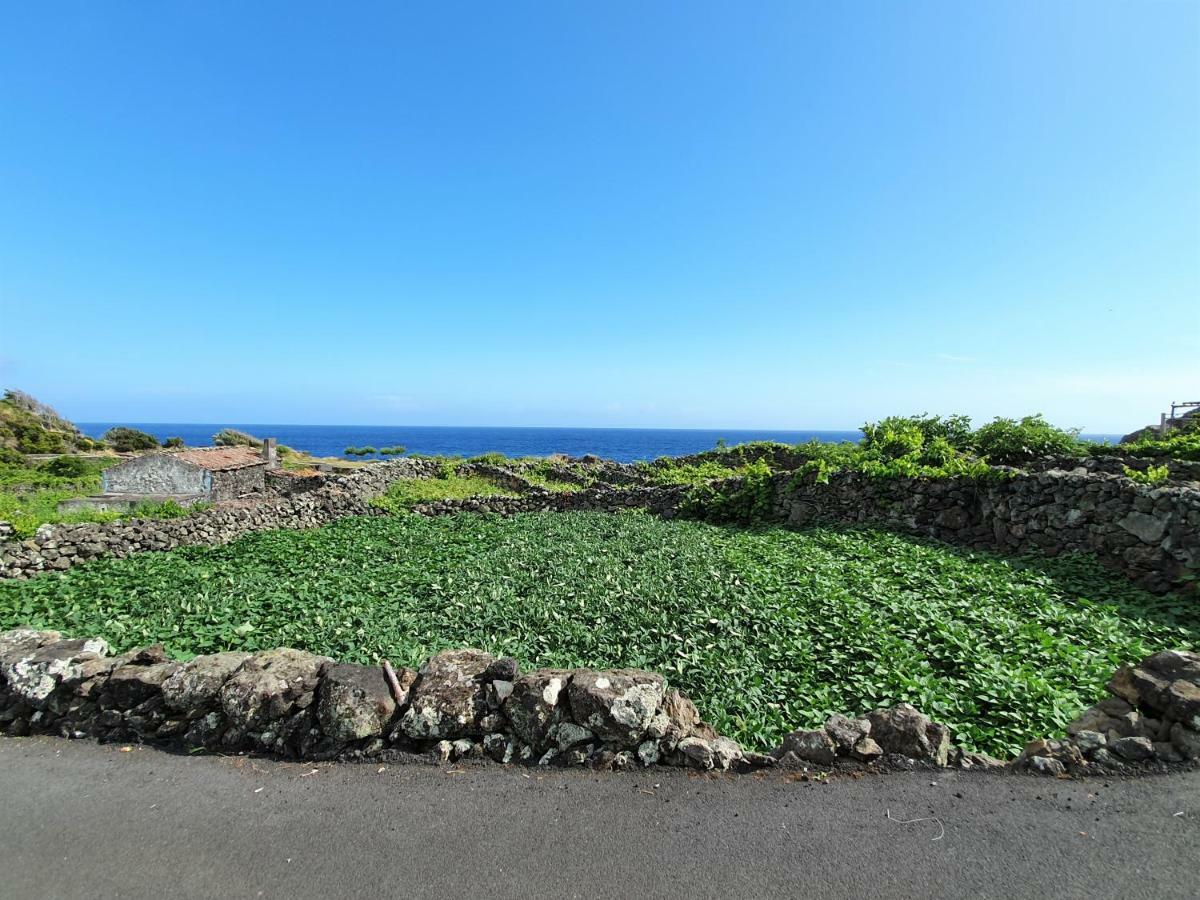 Casinha De Nesquim Villa Calheta de Nesquim Luaran gambar